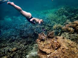Snorkeling 