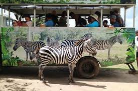 educational tour 
