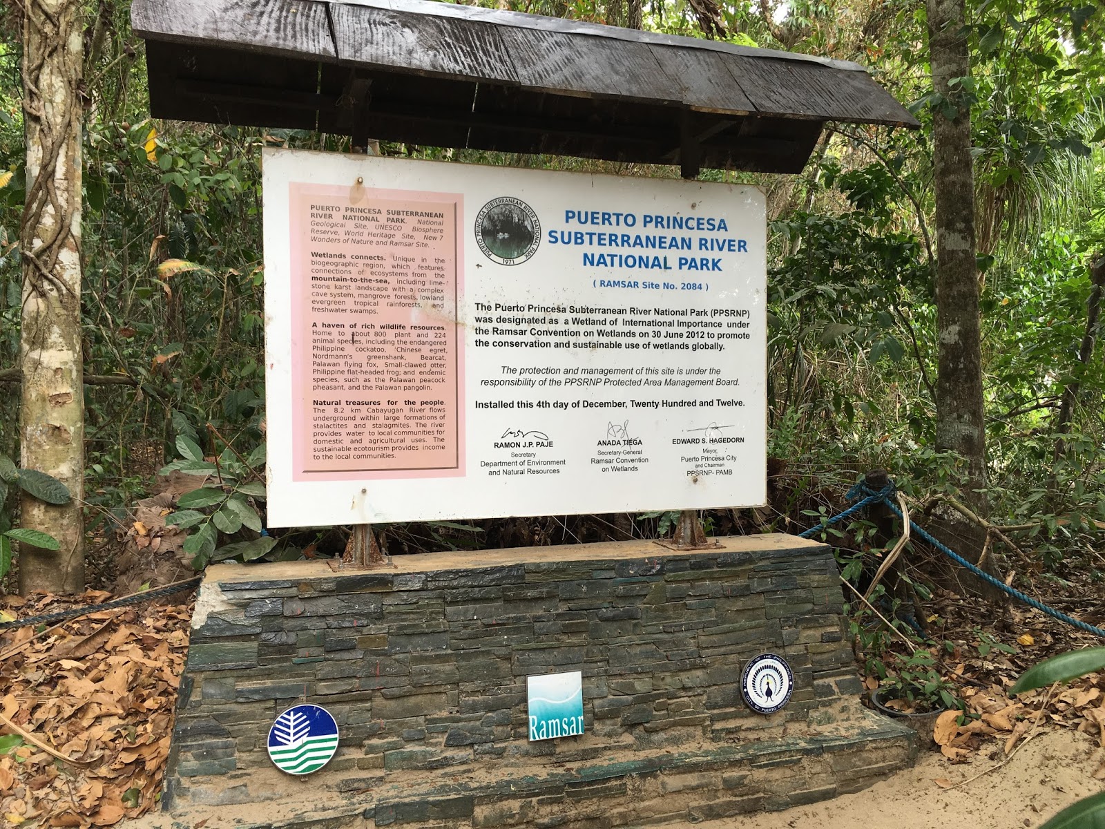 jungle trail 